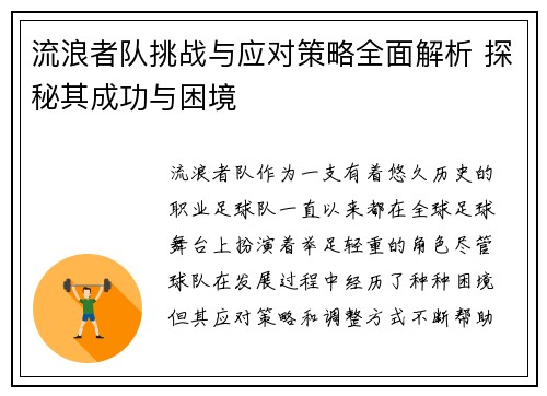 流浪者队挑战与应对策略全面解析 探秘其成功与困境