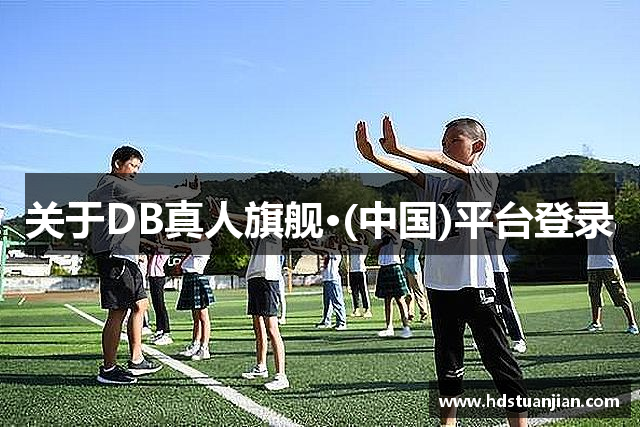 关于DB真人旗舰·(中国)平台登录