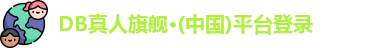 DB真人旗舰·(中国)平台登录